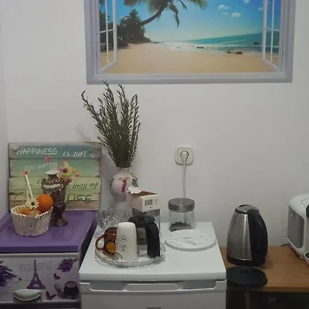 Case de vacanță Strada Banu Mihalcea Nr. 150 *