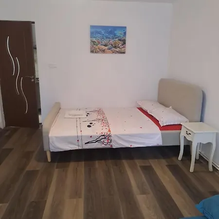 Strada Banu Mihalcea Nr. 150 Nyaraló